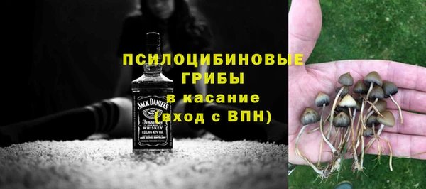 сатива Абаза