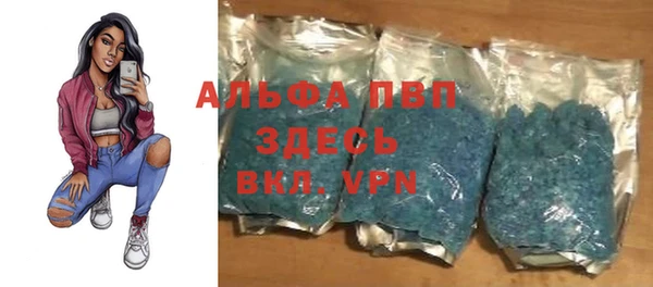 сатива Абаза