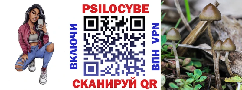 Галлюциногенные грибы Cubensis Дрезна
