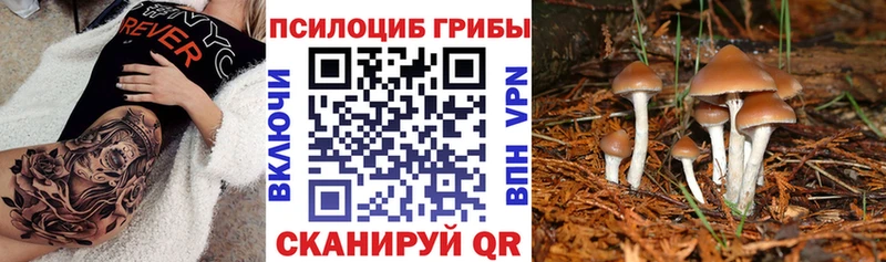 Псилоцибиновые грибы GOLDEN TEACHER  хочу   Дрезна 